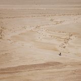 沈阳洗浴论坛主编陈晓明的工作照，身着蓝色衬衫在办公室内专注核查洗浴场所信息
